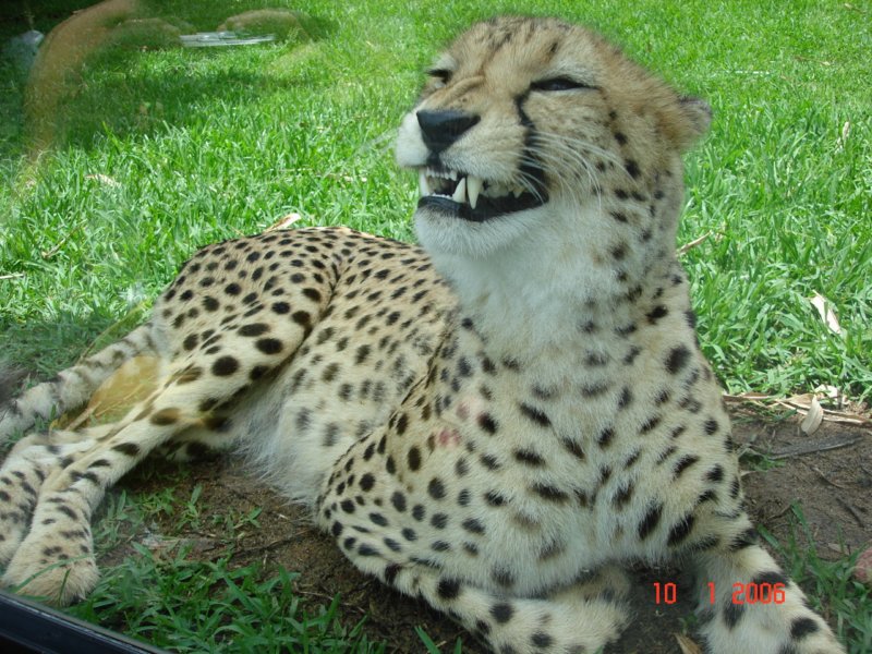 australiazoo10.jpg