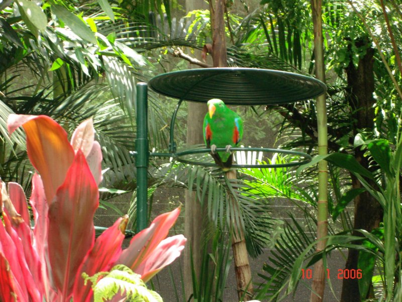 australiazoo11.jpg