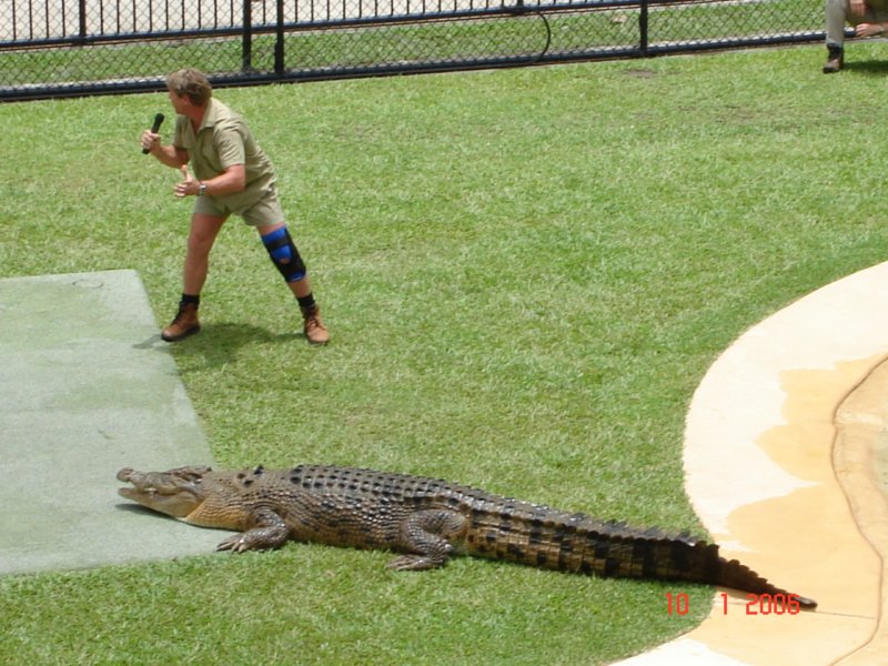 australiazoo15.jpg