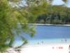 fraserisland8_small.jpg