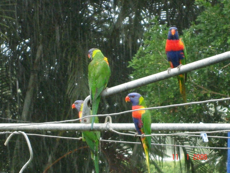 herveybay.jpg
