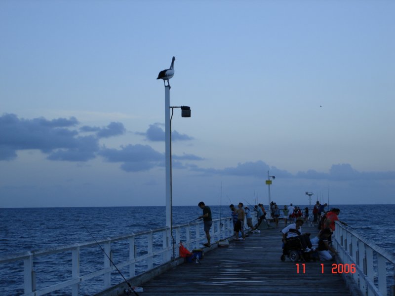 herveybay5.jpg