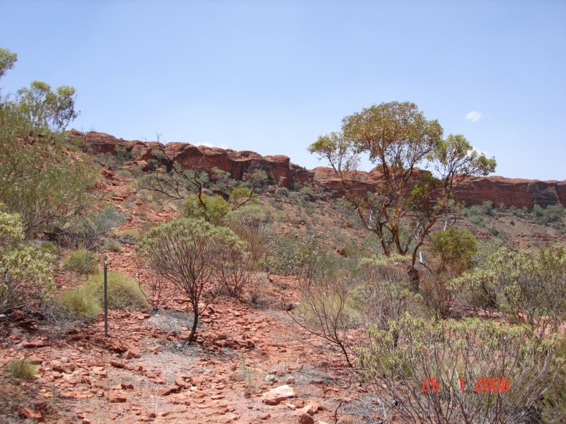 kingscanyon2.jpg