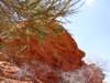 kingscanyon9_small.jpg