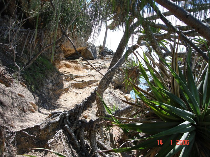 kstequeensland8.jpg