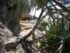 kstequeensland8_small.jpg