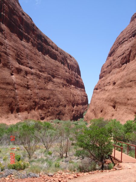 olgas3.jpg
