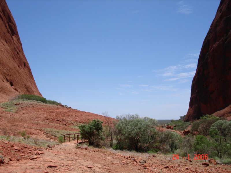 olgas5.jpg