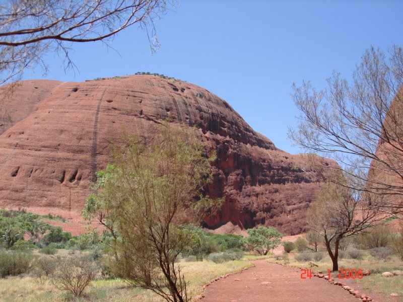 olgas7.jpg