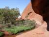 uluru5_small.jpg