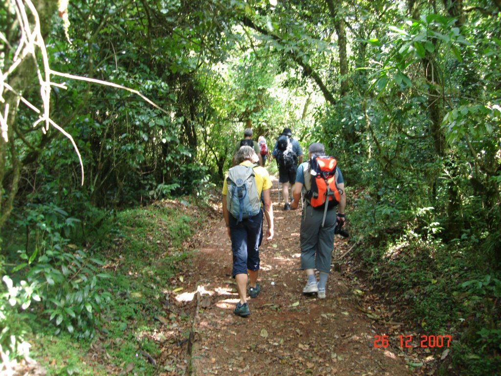 kilimanjaro2007_08155.jpg