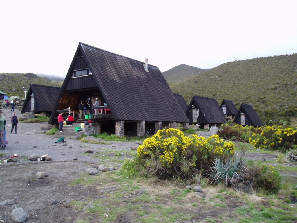kilimanjaro2007_0816.jpg
