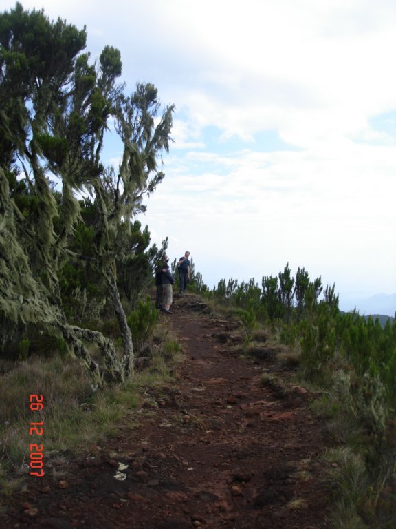 kilimanjaro2007_08165.jpg