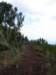 kilimanjaro2007_08165_small.jpg