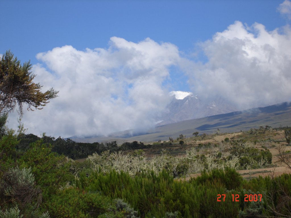 kilimanjaro2007_08172.jpg