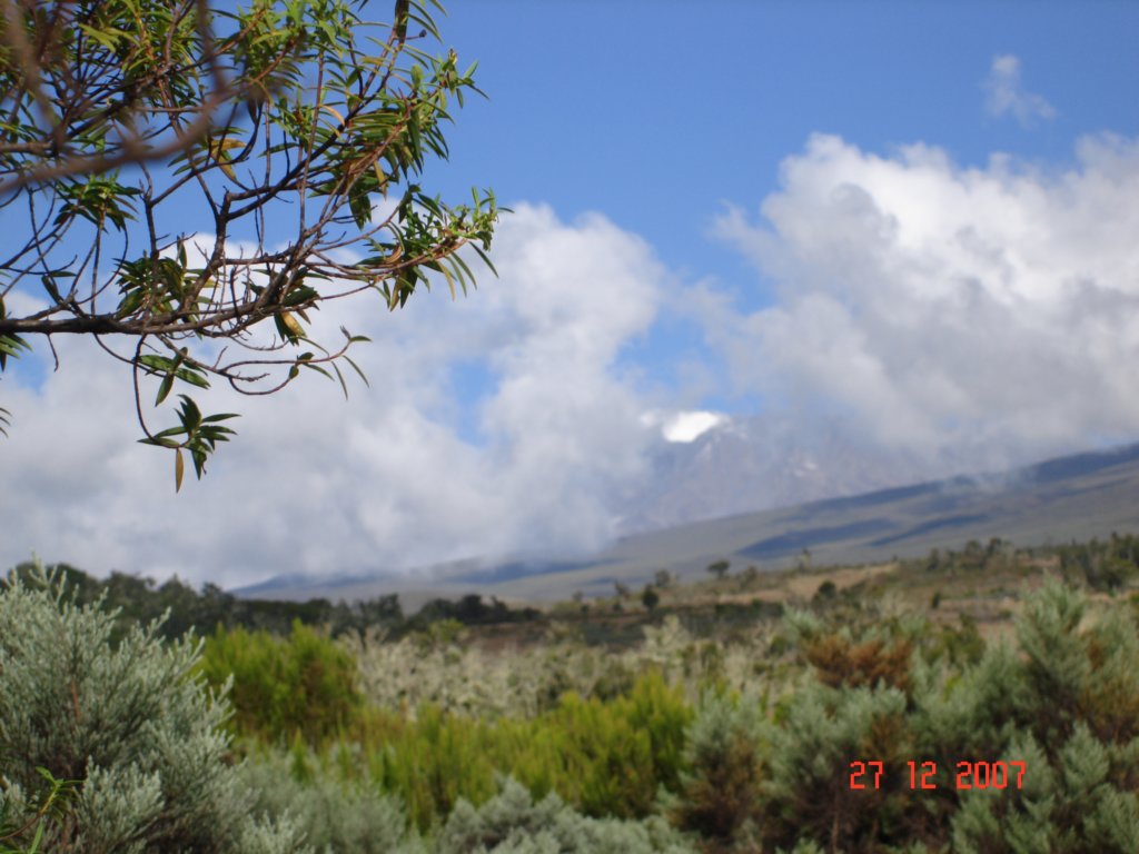 kilimanjaro2007_08173.jpg
