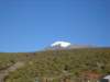 kilimanjaro2007_08181_small.jpg