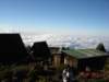 kilimanjaro2007_08182_small.jpg