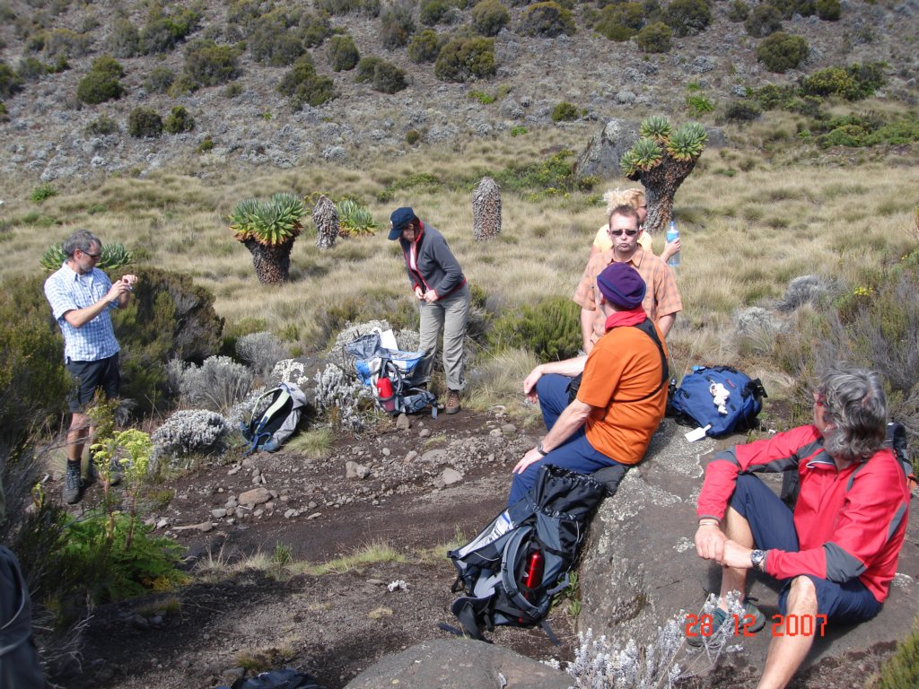 kilimanjaro2007_08184.jpg