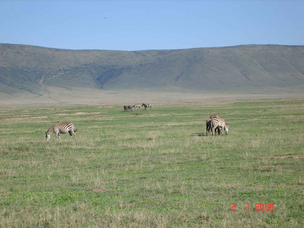 kilimanjaro2007_08251.jpg