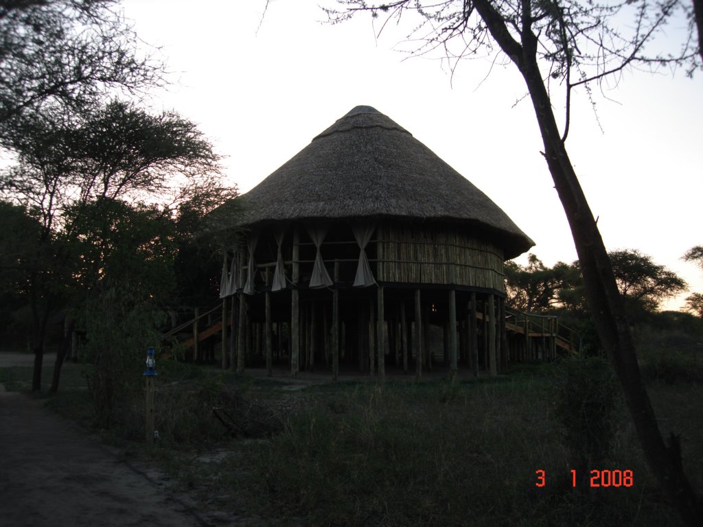 kilimanjaro2007_08270.jpg
