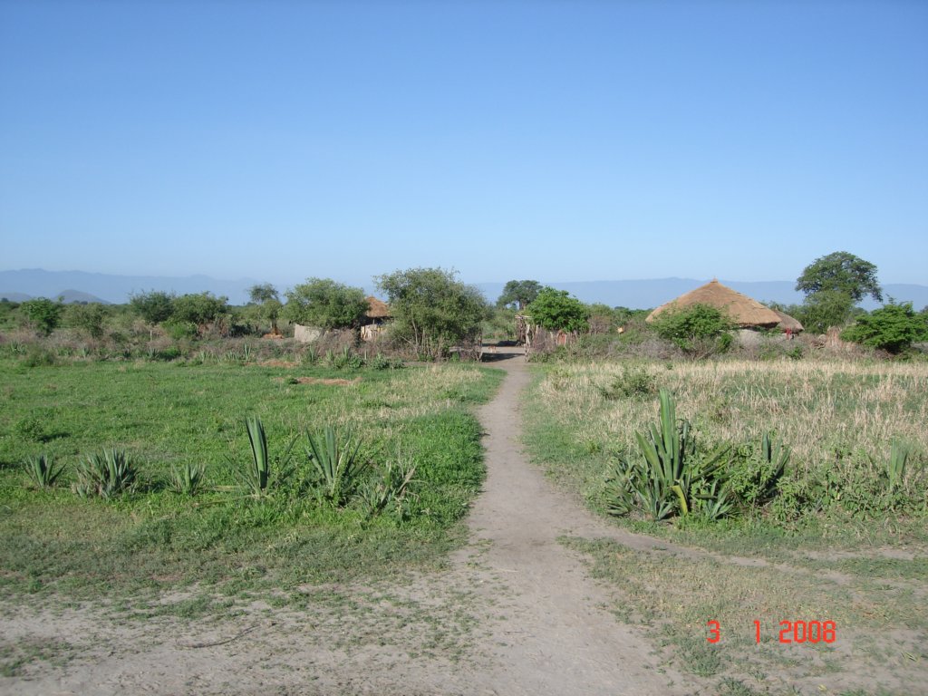 kilimanjaro2007_08274.jpg