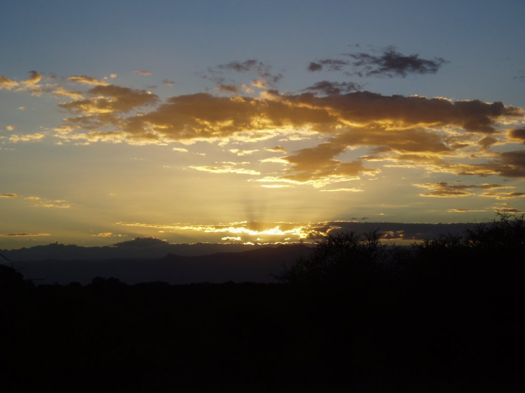 kilimanjaro2007_0832.jpg
