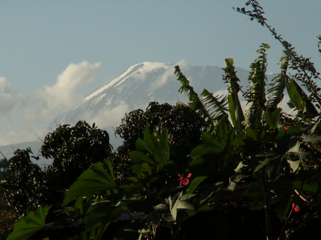 kilimanjaro2007_0894.jpg