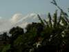 kilimanjaro2007_0894_small.jpg